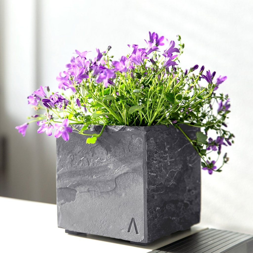 CLIMAQUA Planter Intérieur CUBI 13 Anthracite