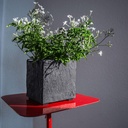 CLIMAQUA Planter Intérieur CUBI 13 Anthracite