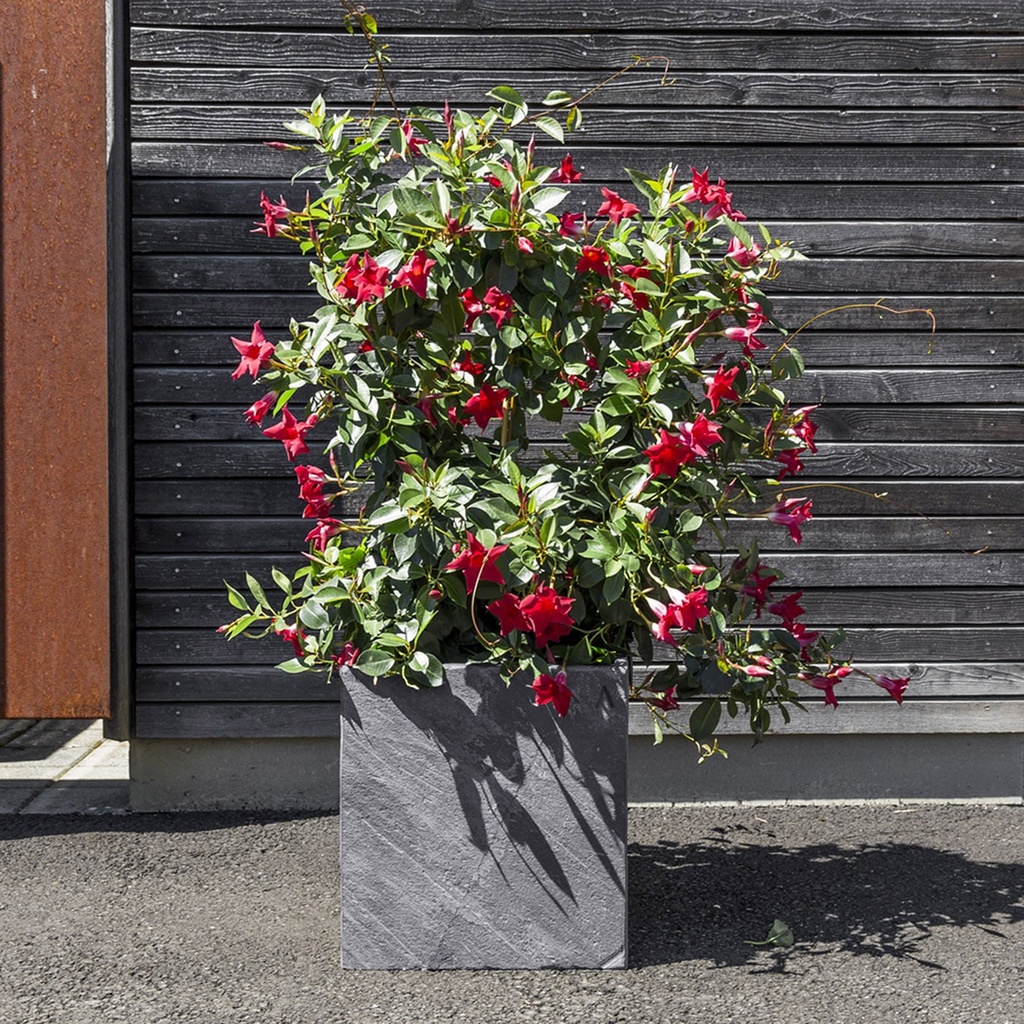 Bac à plantes Anthracite Extérieur CUBI 40 de CLIMAQUA