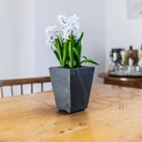 CLIMAQUA Planter Intérieur STILO 11 Anthracite