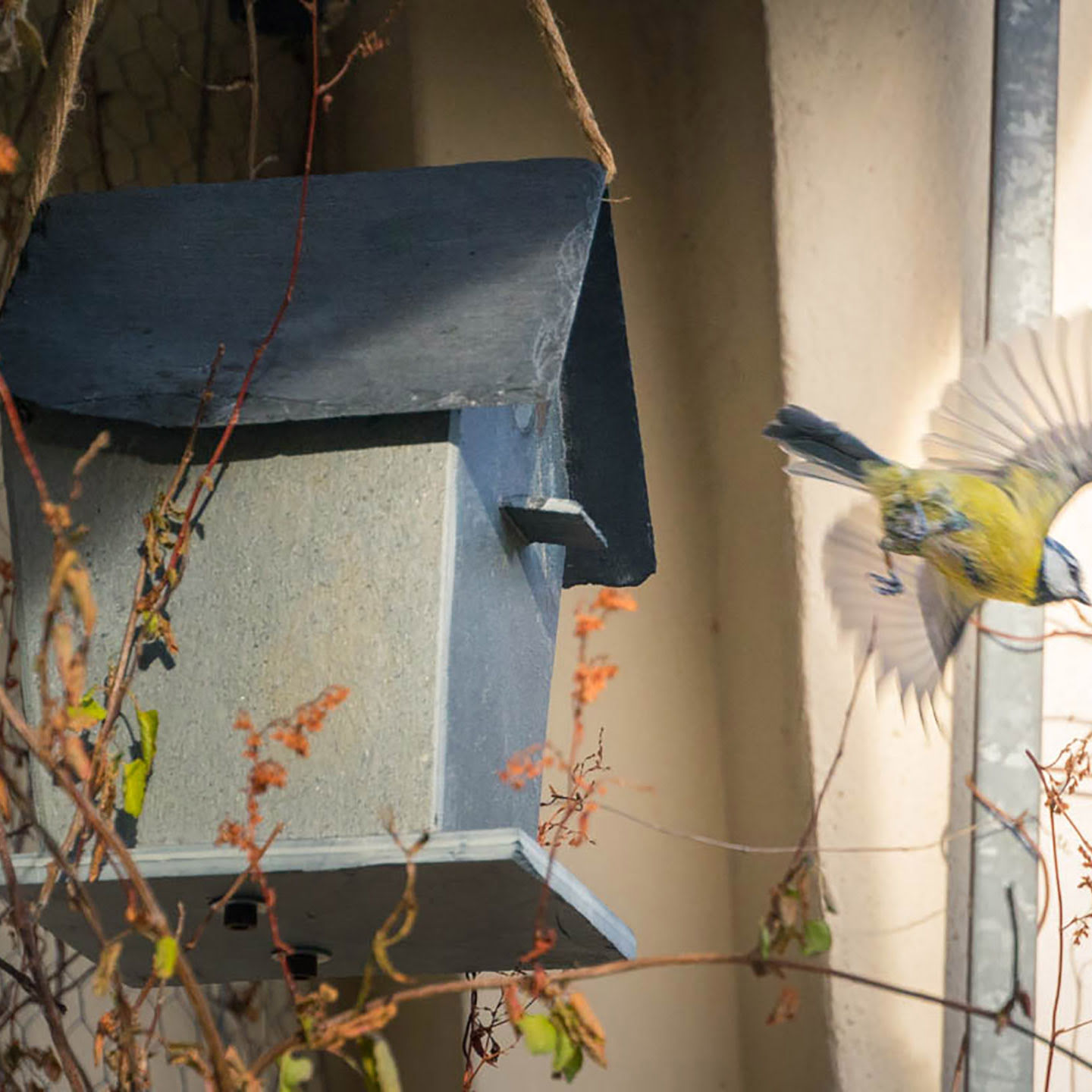 Nichoir pour oiseaux moderne balcon jardin de CLIMAQUA