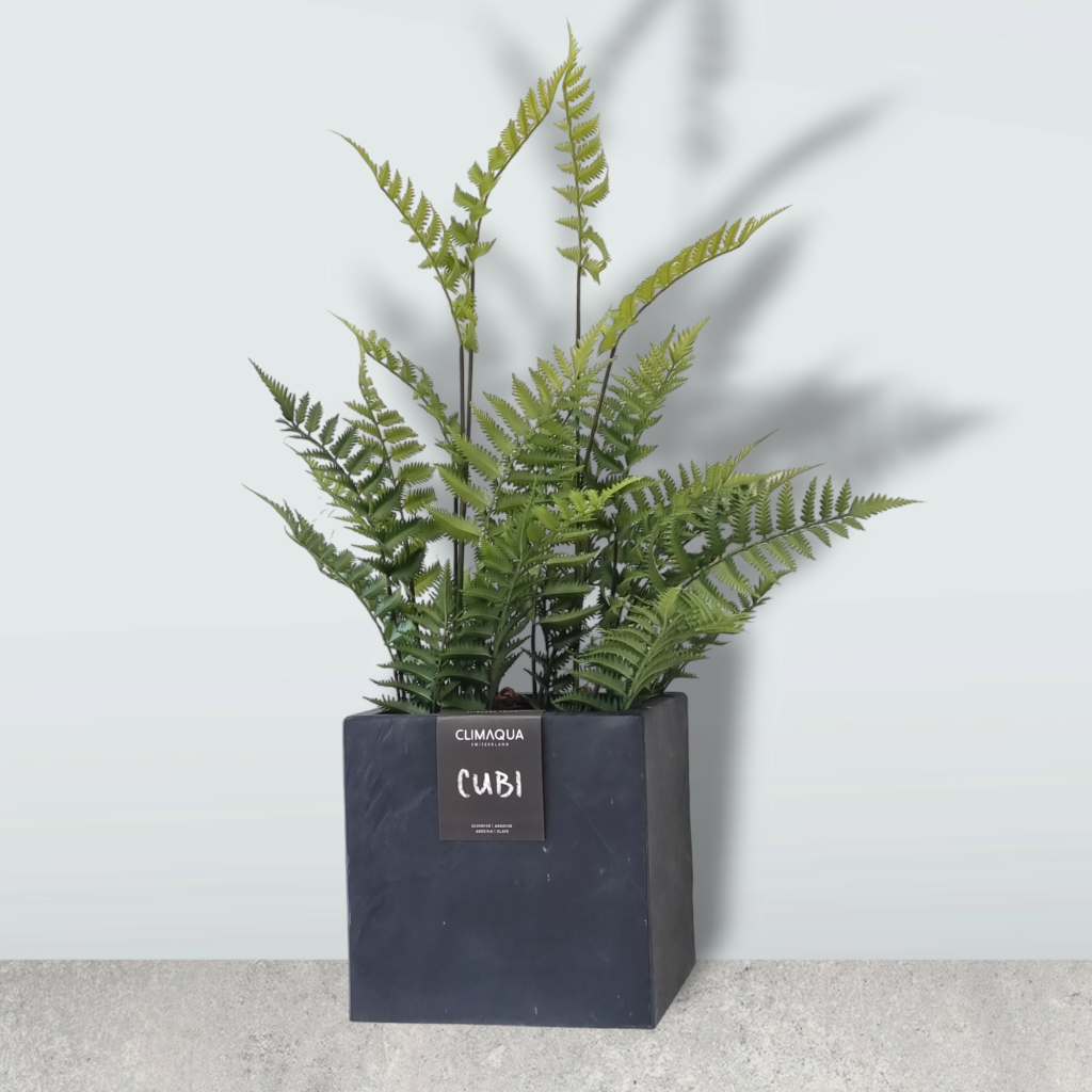 CLIMAQUA Planter Extérieur CUBI 30 anthracite