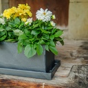 CLIMAQUA Planter Extérieur JARDI 50 anthracite