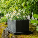 CLIMAQUA Planter Extérieur JARDI 50 anthracite