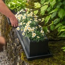 CLIMAQUA Planter Extérieur JARDI 50 anthracite