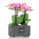 CLIMAQUA Planter Intérieur JARDI 21 Anthracite