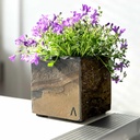 CLIMAQUA Planter Intérieur CUBI 13 Rusty