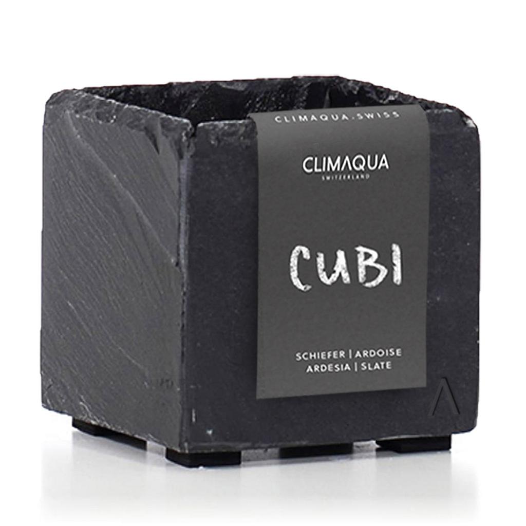 [5001] CLIMAQUA Planter Intérieur CUBI 11 anthracite